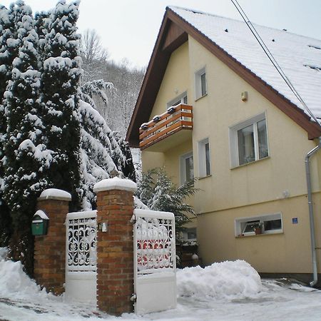 Villa Harmonia Panzio Visegrad Exterior photo