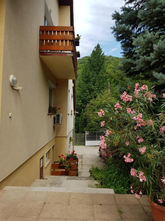 Villa Harmonia Panzio Visegrad Exterior photo